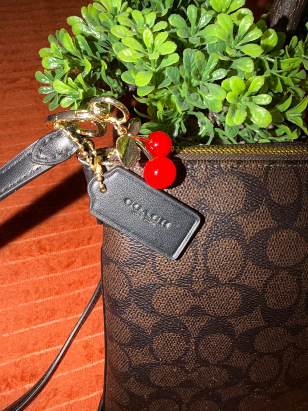 Coach Brown Signature Crossbody with Cherry Charm - Picture 8 of 16